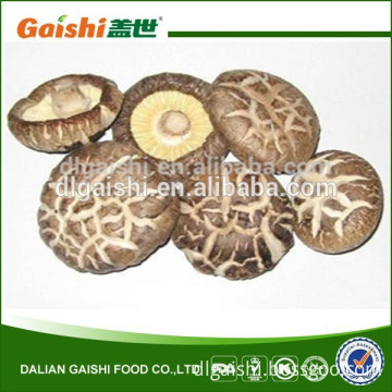 bulk crop dried log white flower shiitake mushroom